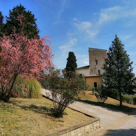 Casa Per Ferie Ulivo D'Assisi别墅 外观 照片